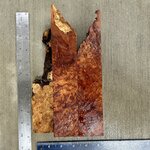 IMG_4173.JPEG