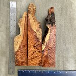 IMG_4175.JPEG