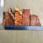 IMG_4187.JPEG