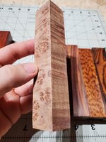 20230815_071826.jpg
