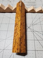 20230815_082140.jpg