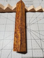 20230815_082148.jpg