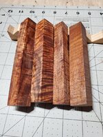 20230815_082405.jpg