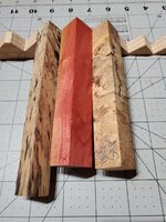 20230815_082540.jpg