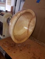 Maple 001g.jpg