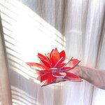 IMG_4815.jpeg