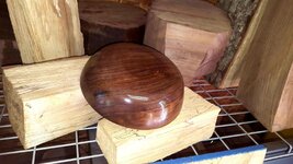 Walnut 18c.jpg