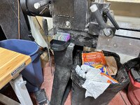IMG_3019.JPG
