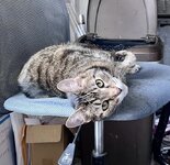 IMG_6816.jpeg