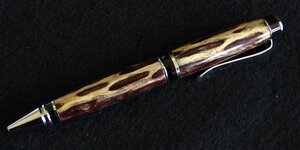 cholla cigar.jpg