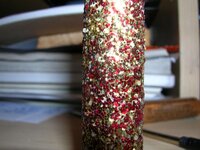 DSCN2557.jpg