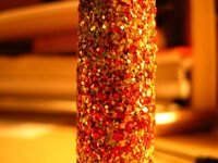 DSCN2558.jpg