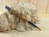 Aussie Siera Exec - Corgutta Burl 002edt.JPG