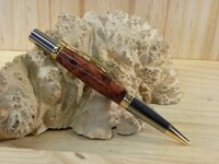 Aussie Siera Exec - Karri Burledt.JPG