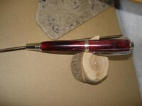 DSC04371.jpg