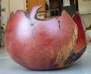 Manzanita Bowl Final - 4.jpg