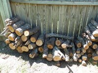 Hackberry Cut in Feb. 2010, chopped sep. 10, 2010,whole.jpg