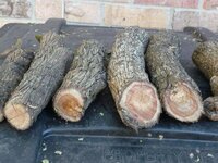 Mt. Laurel Lot#,1, Pic.1, #1--6.jpg