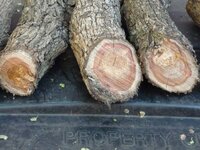 Mt. Laurel Lot#,1, Pic.2,#3-4-5.jpg