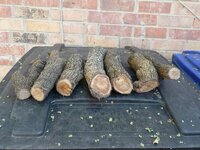 Mt. Laurel Lot#,1, Pic.3, all 7.jpg