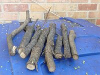 smaller dia. Mt. laurel.jpg