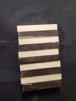 20231107_211848.jpg