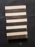20231107_211856.jpg