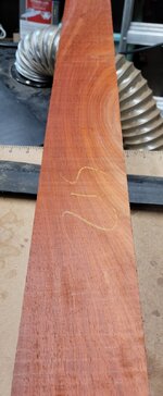 padauk1.jpg