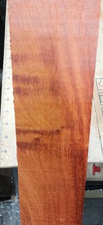 padauk3.jpg