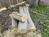IMG_3410.jpeg