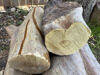 IMG_3413.jpeg