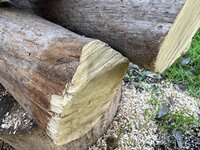 IMG_3412.jpeg