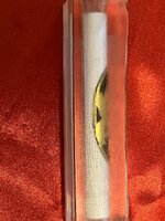 IMG_3892.jpeg