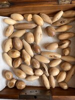 IMG_6534.jpeg