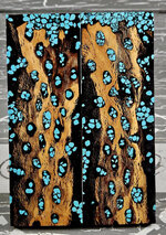 Turquoise-Cholla1.jpg