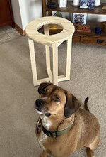 IMG_4111.jpeg
