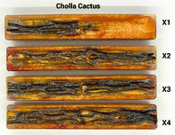Cholla Cactus.jpg