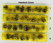 Hemlock_Cones.jpg