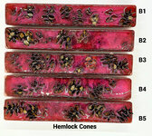 Hemlock_Cones2.jpg