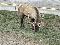 IMG_4374.jpeg