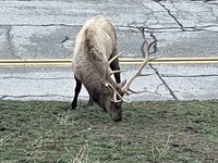 IMG_4373.jpeg