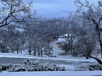 IMG_4422.jpeg