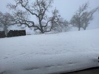 IMG_4425.jpeg