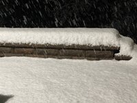 IMG_4423.jpeg