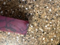 IMG_4789.jpeg