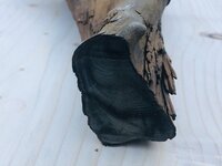 IMG_3807.jpeg IMG_3807.jpeg