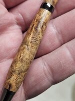 20240313_192038.jpg