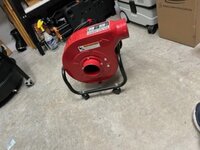IMG_2295 (1).jpeg