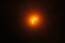 IMG_9828.jpeg