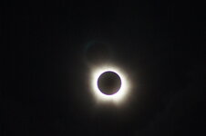 IMG_9827.jpeg